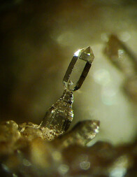 Mexiko/Chiapas, Estado/Aldama, Municipio/Aldama