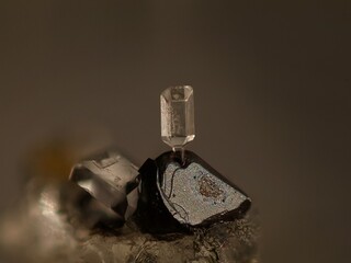 Deutschland/Rheinland-Pfalz/Mayen-Koblenz-Kreis/Mendig, Verbandsgemeinde/In den Dellen (Grube Zieglowski)