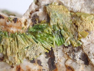 Deutschland/Sachsen/Mittelsachsen, Landkreis/Freiberg, Revier/Mulda