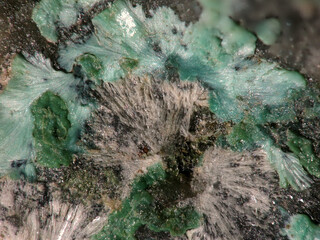 Österreich/Salzburg/Zell am See, Bezirk (Pinzgau)/Leogang, Gemeinde/Schwarzleo, Katastralgemeinde/Schwarzleo, Bergbaurevier/Prähistorische Halde Schwarzleo