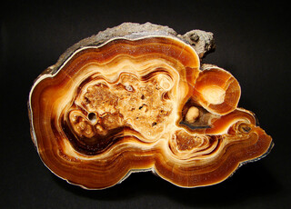 Ungarn/Komárom-Esztergom, Komitat/Tatabánya, Kreis/Tatabánya/Vertesszöllös