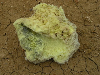 Island/Nordostisland (Norðurland eystra), Region/Þingeyjarsýsla/Mývatn/Þeistareykir