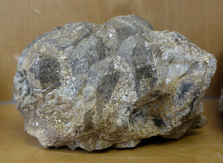 Deutschland/Bayern/Oberpfalz, Bezirk/Neustadt an der Waldnaab, Landkreis/Pleystein/Kreuzberg