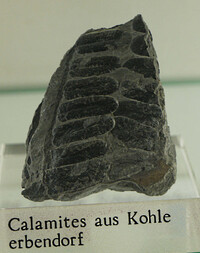 Deutschland/Bayern/Oberpfalz, Bezirk/Tirschenreuth, Landkreis/Erbendorf, Stadt