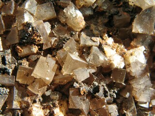 Deutschland/Baden-Württemberg/Freiburg, Bezirk/Lörrach, Landkreis/Todtnau/Lisbühl