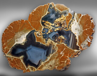 USA/Oregon/Jefferson County/Madras/Richardson Ranch (Priday Ranch)