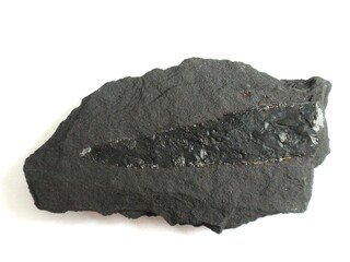 Deutschland/Sachsen-Anhalt/Mansfeld-Südharz, Landkreis/Allstedt/Niederröblingen (Helme)/Schacht Niederröblingen (Bernard-Koenen-Schacht I)