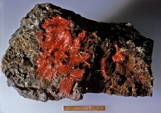 UK/England/Cornwall Co./St. Austell District/Tywardreath/Fowey Consols