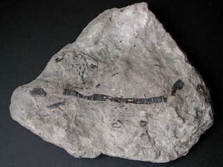 Deutschland/Thüringen/Greiz, Landkreis/Berga a. d. Weiße Elster/Culmitzsch/Tagebau Culmitzsch (Mücke)