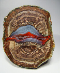 Frankreich/Provence-Alpes-Côte d'Azur, Région/Var, Département/Draguignan, Arrondissement/Fréjus, Stadt