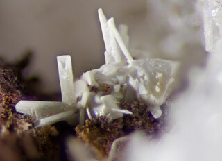 Spanien/Andalusien (Andalucía)/Almería, Provinz/Levante Almeriense, Comarca/Cuevas de Almanzora, Municipio/Las Herrerías/Roza de Santa Matilde