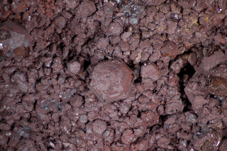 Spanien/Andalusien (Andalucía)/Almería, Provinz/Levante Almeriense, Comarca/Cuevas de Almanzora, Municipio/Las Herrerías/Roza de Santa Matilde