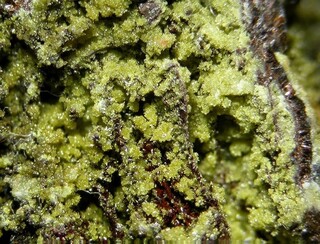 Deutschland/Rheinland-Pfalz/Rhein-Lahn-Kreis/Bad Ems - Nassau, Verbandsgemeinde/Bad Ems/Grube Bergmannstrost