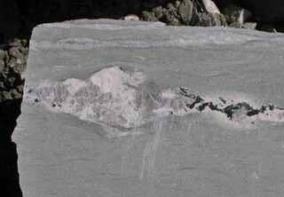 Österreich/Salzburg/Zell am See, Bezirk (Pinzgau)/Rauris, Marktgemeinde/Bucheben, Katastralgemeinde/Hüttwinkltal/Lohninger Bruch