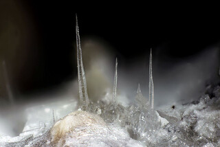 Deutschland/Rheinland-Pfalz/Mayen-Koblenz-Kreis/Vordereifel, Verbandsgemeinde/Ettringen, Gemeinde/Bellerberg/Ettringer Bellerberg (Stbr. Caspar)