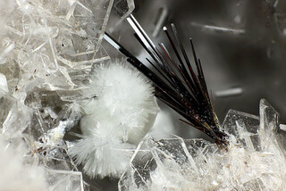 Deutschland/Rheinland-Pfalz/Mayen-Koblenz-Kreis/Maifeld, Verbandsgemeinde/Ochtendung/Wannenköpfe