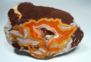 USA/Montana/Big Horn County/Pryor Mountains/Bighorn River area