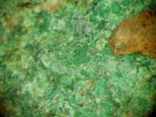 Deutschland/Sachsen/Sächsische Schweiz-Osterzgebirge, Landkreis/Freital/Großer Ternickel