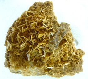 Italien/Toskana (Toscana)/Grosseto, Provinz/Civitella Paganico/Poggio Peloso