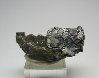 USA/Kansas/Cherokee County/Tri-State District/Picher Field/Treece