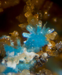 Italien/Venetien (Veneto), Region/Vicenza, Provinz/Torrebelvicino/Contrada Trentini/Trentini Mine