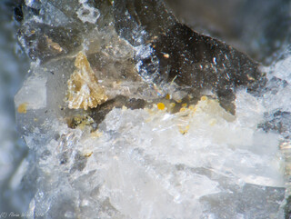 Deutschland/Bayern/Oberpfalz, Bezirk/Neustadt an der Waldnaab, Landkreis/Waidhaus/Silbergrube