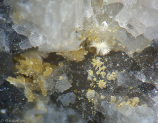 Deutschland/Bayern/Oberpfalz, Bezirk/Neustadt an der Waldnaab, Landkreis/Waidhaus/Silbergrube