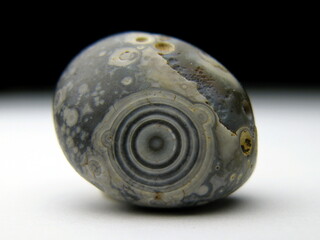 Deutschland/Rheinland-Pfalz/Alzey-Worms, Landkreis/Eckelsheim/Steigerberg