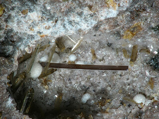 Spanien/Región de Murcia/Murcia, Provinz/Campo de Cartagena, Comarca/Cartagena, Municipio/La Aljorra/La Aljorra Quarries