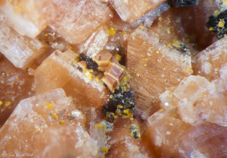 Italien/Lombardei (Lombardia), Region/Varese, Provinz/Cuasso al Monte/Cavagnano/Cava Laghetto