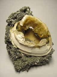 USA/Florida/Okeechobee County/Fort Drum/Rucks' Pit