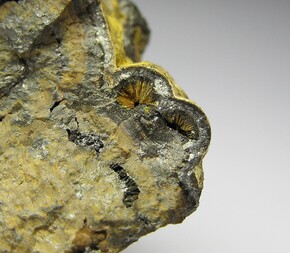 Deutschland/Baden-Württemberg/Karlsruhe, Bezirk/Rhein-Neckar-Kreis/Wiesloch/Grubenfeld Kobelsberg/Grube Segen Gottes