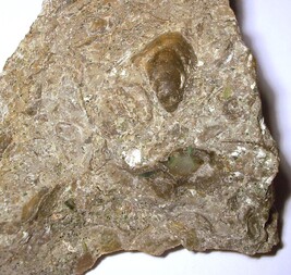 Deutschland/Sachsen/Dresden/Ratssteinbruch