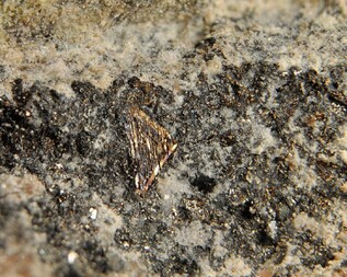 Deutschland/Sachsen/Erzgebirgskreis/Marienberg, Revier/Marienberg/Lauta/Schacht 139 (Abrahamhalde)