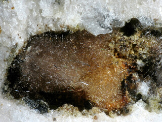 Deutschland/Rheinland-Pfalz/Mayen-Koblenz-Kreis/Mendig, Verbandsgemeinde/In den Dellen (Grube Zieglowski)