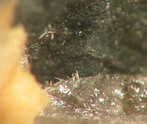 Deutschland/Sachsen/Görlitz, Landkreis/Waldhufen/Thiemendorf/Autobahntunnel Königshainer Berge