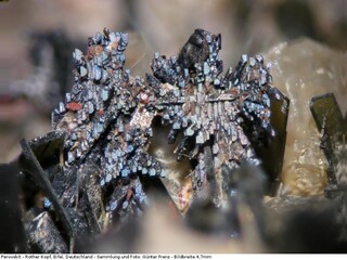 Deutschland/Rheinland-Pfalz/Vulkaneifel, Landkreis/Gerolstein, Verbandsgemeinde/Gerolstein, Stadt/Roth/Rother Kopf