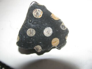 Deutschland/Sachsen/Meißen, Landkreis/Zeithain/Kiestagebau Zeithain