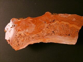 Deutschland/Sachsen/Sächsische Schweiz-Osterzgebirge, Landkreis/Tharandt/Tharandter Wald