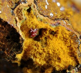 Griechenland/Attika (Attikí, Attica)/East Attica/Lavreotiki/Lavrion (Laurion), Bergbaudistrikt/Agios Konstantinos (Kamariza)/Kamariza Minen (Kamareza)/Hilarion Mine