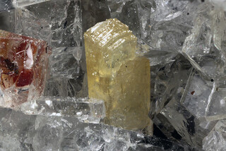 Italien/Kampanien (Campania), Region/Metropolitanstadt Neapel/Somma-Vesuv-Komplex/Monte Somma