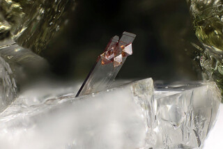 Italien/Kampanien (Campania), Region/Metropolitanstadt Neapel/Somma-Vesuv-Komplex/Monte Somma