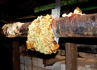 Tschechien/Karlovarský kraj (Karlsbad)/Karlovy Vary, Okres (Karlsbad)/Jáchymov (St. Joachimsthal)/Svornost (Einigkeit)