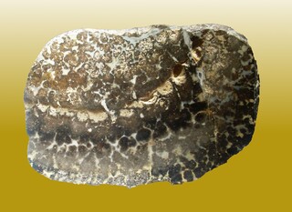 Deutschland/Rheinland-Pfalz/Bernkastel-Wittlich, Landkreis/Arenrath/Kiesgruben in Arenrath und Umgebung