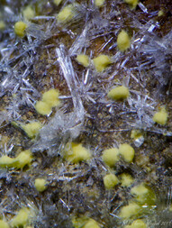 Tschechien/Karlovarský kraj (Karlsbad)/Karlovy Vary, Okres (Karlsbad)/Jáchymov (St. Joachimsthal)/Svornost (Einigkeit)