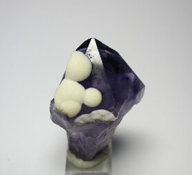 Brasilien/Süden (Região Sul)/Rio Grande do Sul/Alto Uruguai-Gebiet/Iraí (Irai)