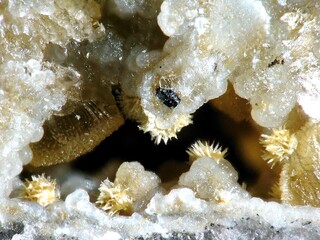 Deutschland/Bayern/Oberpfalz, Bezirk/Neustadt an der Waldnaab, Landkreis/Waidhaus/Hagendorf/Hagendorf-Süd (Grube Cornelia)