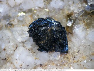 Schweiz/Wallis, Kanton/Goms, Bezirk/Binntal/Binn/Kriegalptal (Chriegalptal)/Wannigletscher-Scherbadung