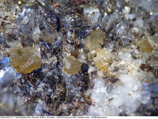 Schweiz/Wallis, Kanton/Goms, Bezirk/Binntal/Binn/Kriegalptal (Chriegalptal)/Wannigletscher-Scherbadung