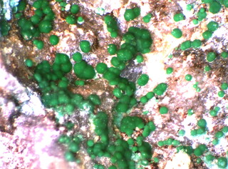 Österreich/Salzburg/Zell am See, Bezirk (Pinzgau)/Leogang, Gemeinde/Schwarzleo, Katastralgemeinde/Schwarzleo, Bergbaurevier/Danielstollen